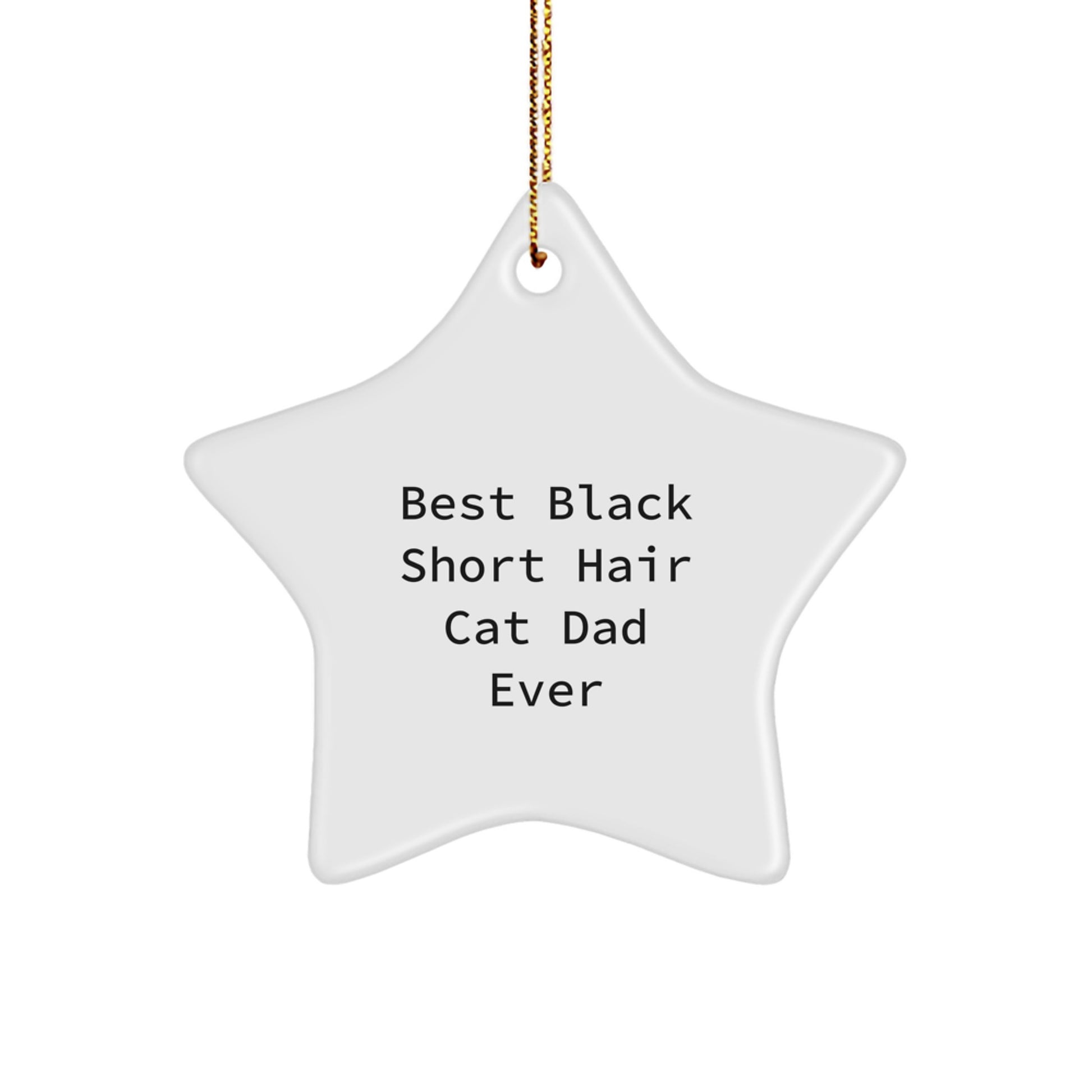 Black Short Hair Cat Dad Funny Christmas Star Ornament Gifts from Men to Black Short Hair Cat Enthusiasts, Christmas Unique Gifts, Best Dad Ever - Image 1