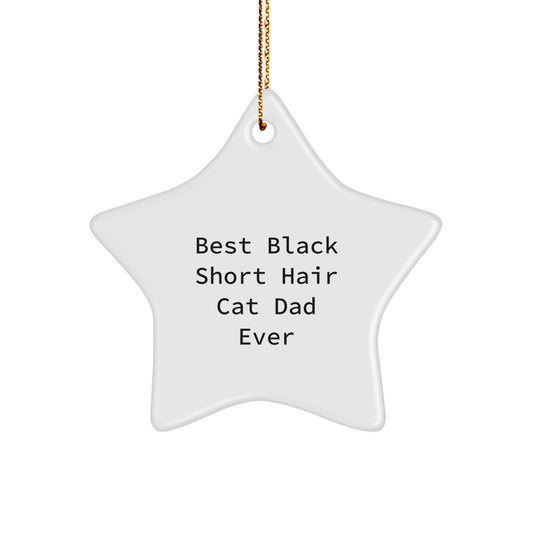 Black Short Hair Cat Dad Funny Christmas Star Ornament Gifts from Men to Black Short Hair Cat Enthusiasts, Christmas Unique Gifts, Best Dad Ever - Image 1