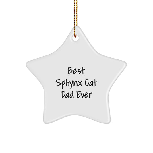 Playful Sphynx Cat Dad Novelty Christmas Ornament Gift for Friends - Image 1