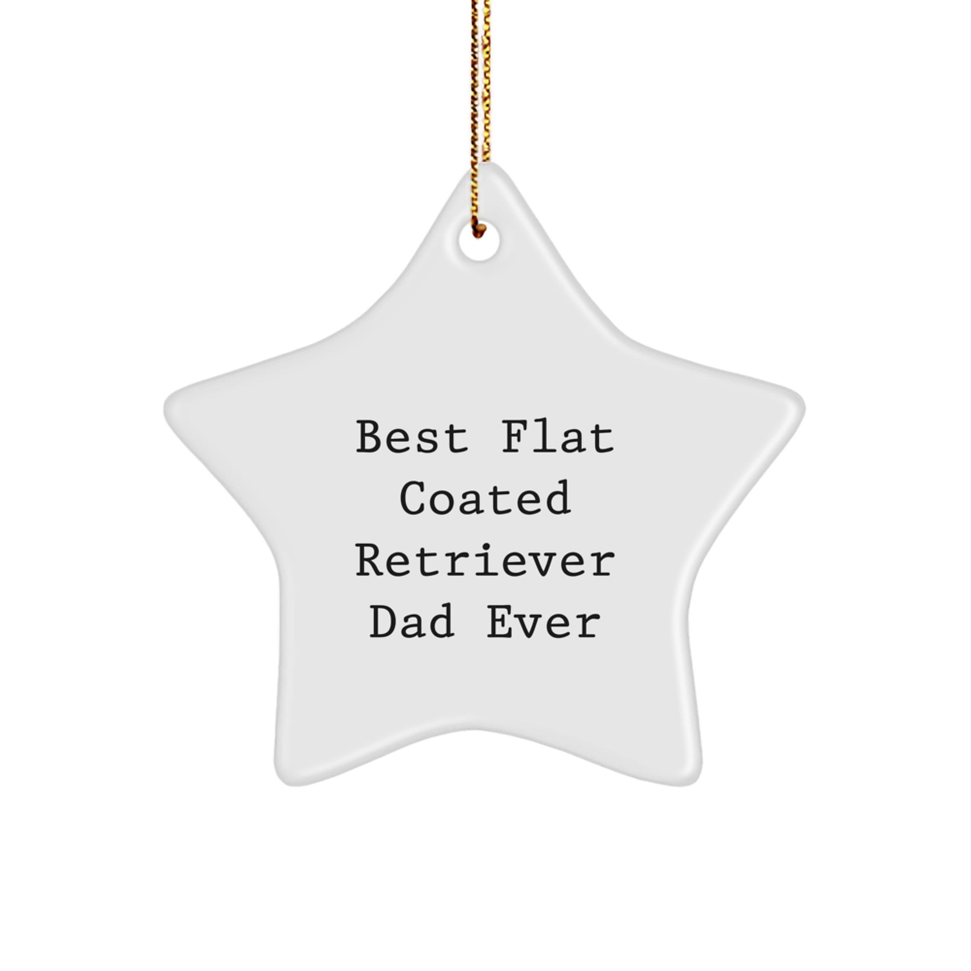 Funny Flat Coated Retriever Dog Dad Gifts, Star Ornament - Best Dad Ever, Christmas Unique Gifts from Men to Family - Image 1