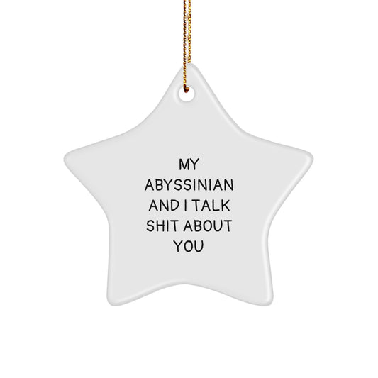Funny Abyssinian Cat Star Ornament Gifts from Friends for Christmas - Image 1