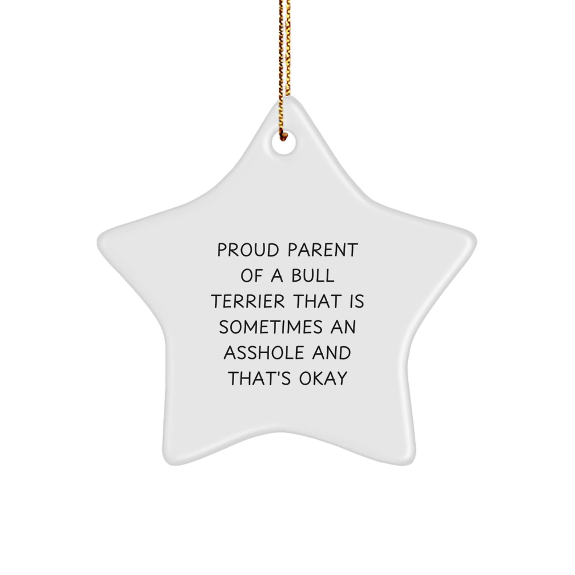 Bull Terrier Dog Mom Funny Gifts from Dad to Daughter for Christmas Unique Star Ornament - Image 1