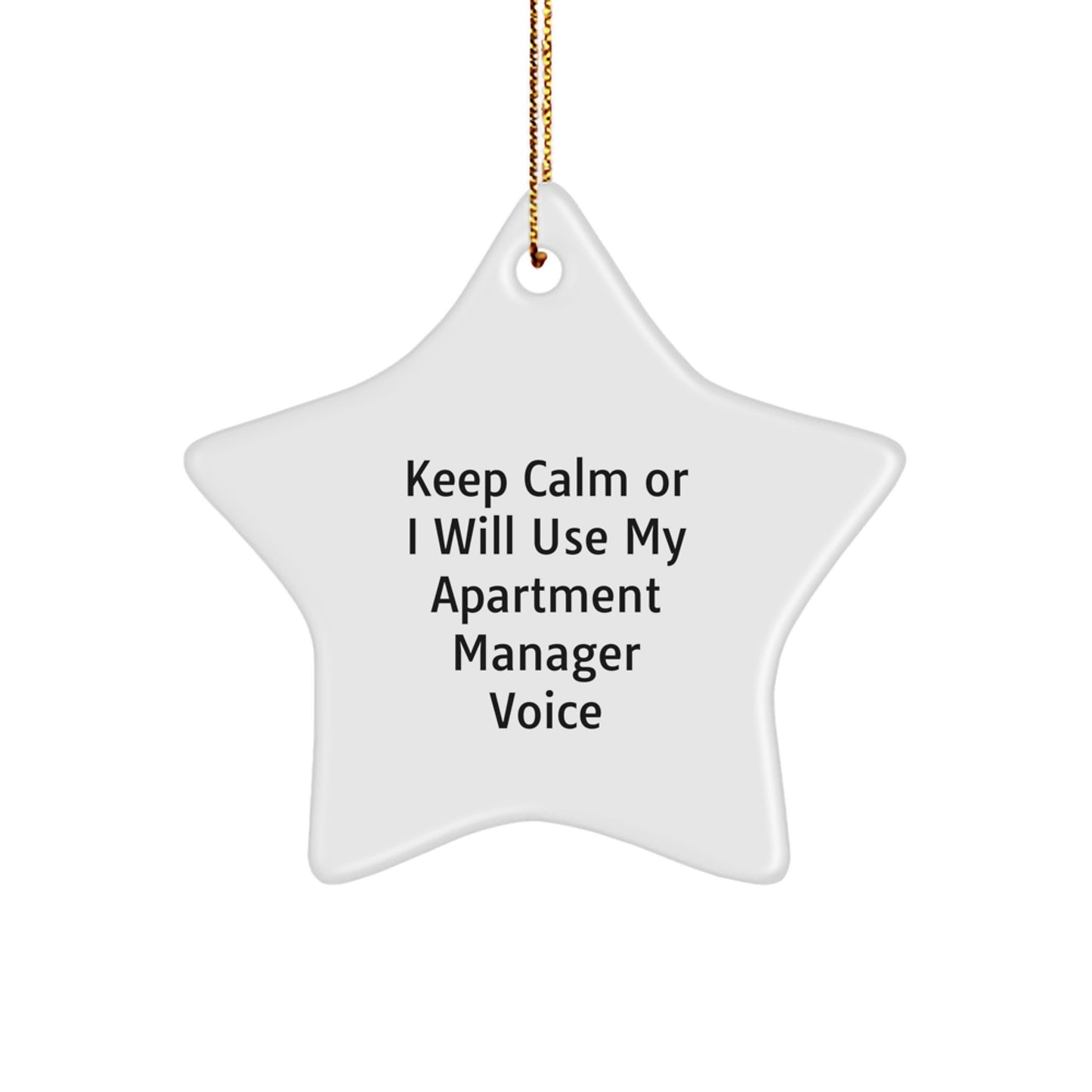 Funny Christmas Unique Gifts for Apartment Managers - Keep Calm Star Ornament, Apartment Manager Gifts, Office Decorations, Apartment Manager Voice - Image 1