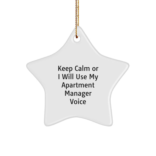 Funny Christmas Unique Gifts for Apartment Managers - Keep Calm Star Ornament, Apartment Manager Gifts, Office Decorations, Apartment Manager Voice - Image 1