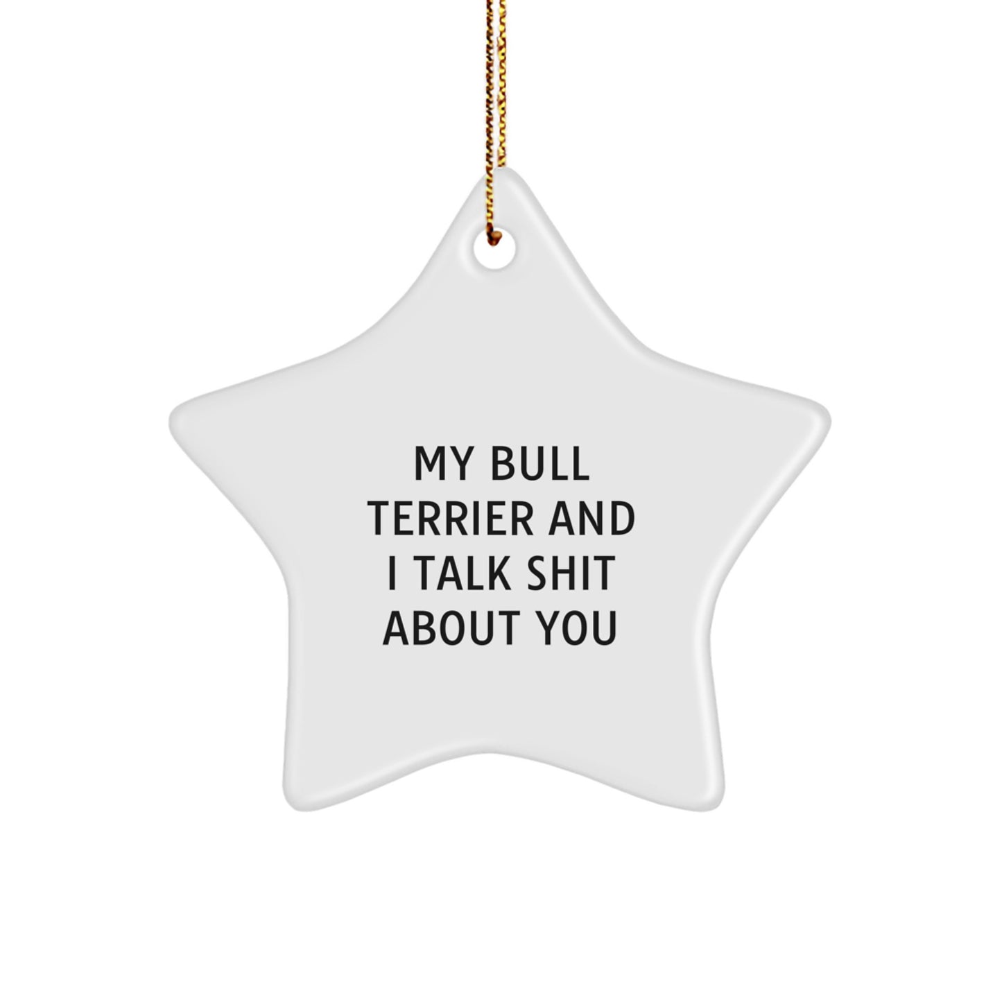 Funny Bull Terrier Dog Christmas Unique Gifts for Friends, Unique Star Ornament from Men to Family, 'My Bull Terrier And I Talk Shit About You' Star Decoration - Image 1