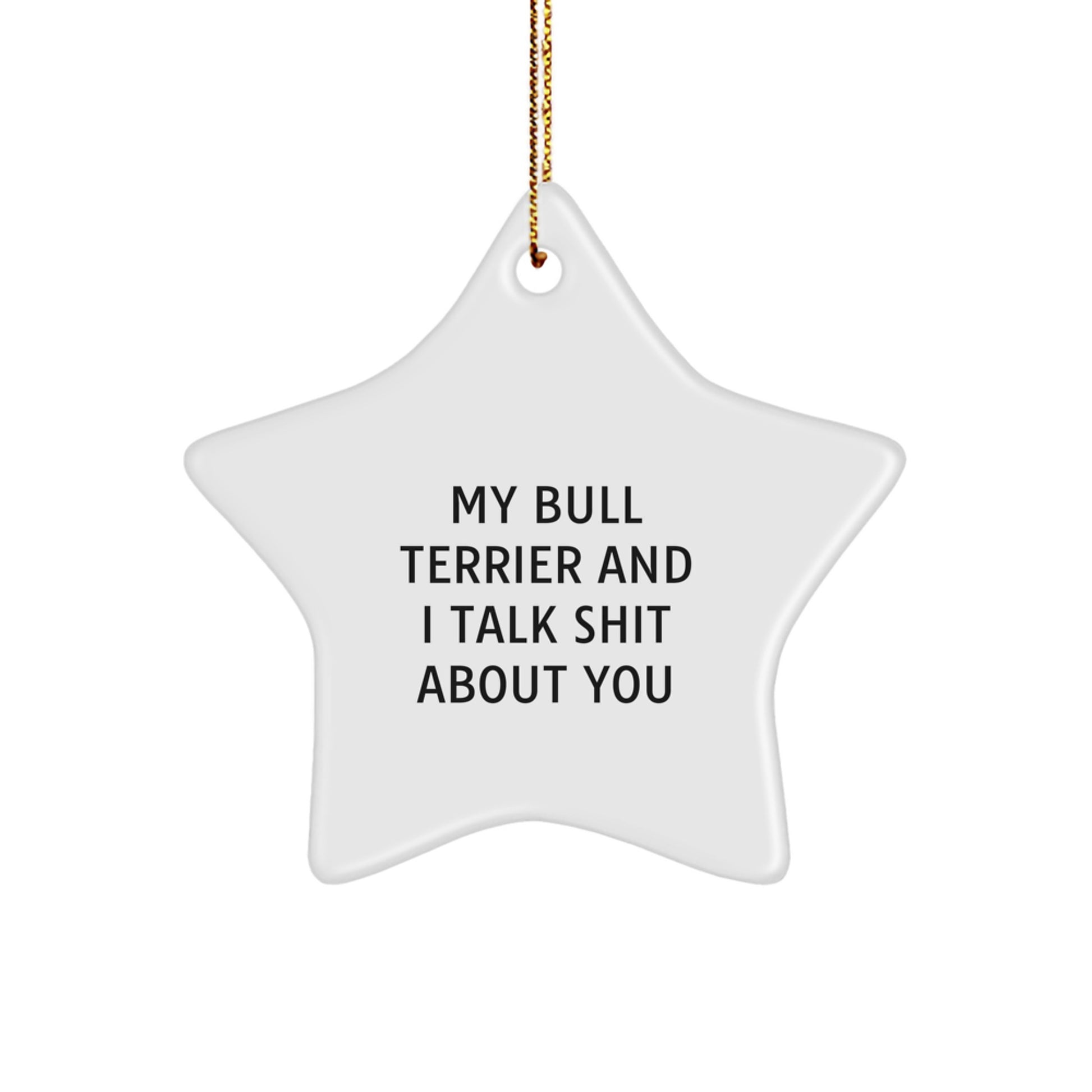 Funny Bull Terrier Dog Christmas Unique Gifts for Friends, Unique Star Ornament from Men to Family, 'My Bull Terrier And I Talk Shit About You' Star Decoration - Image 1