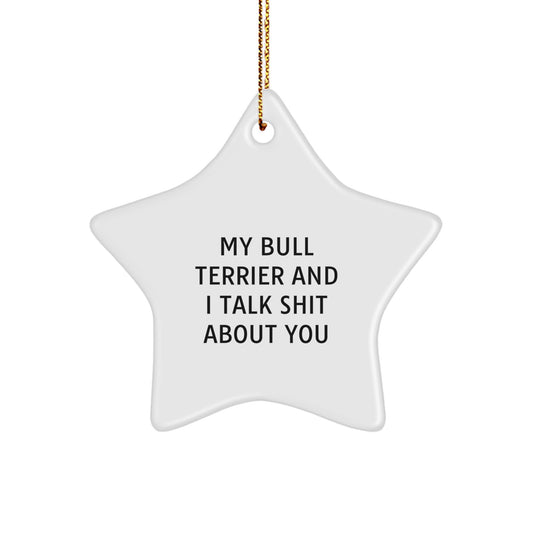 Funny Bull Terrier Dog Christmas Unique Gifts for Friends, Unique Star Ornament from Men to Family, 'My Bull Terrier And I Talk Shit About You' Star Decoration - Image 1