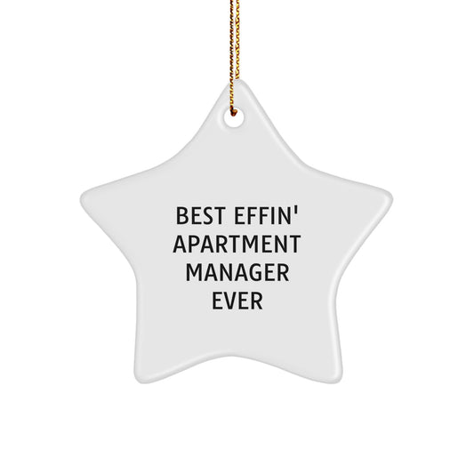 Funny Gifts from Friends for Apartment Manager, Best Effin' Ever Star Ornament, Christmas Unique Star Shaped Decorative - Image 1