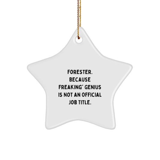 Funny Forester Gifts, Star Ornament for genius Forester, Christmas Unique Gifts from Family Friends - Image 1