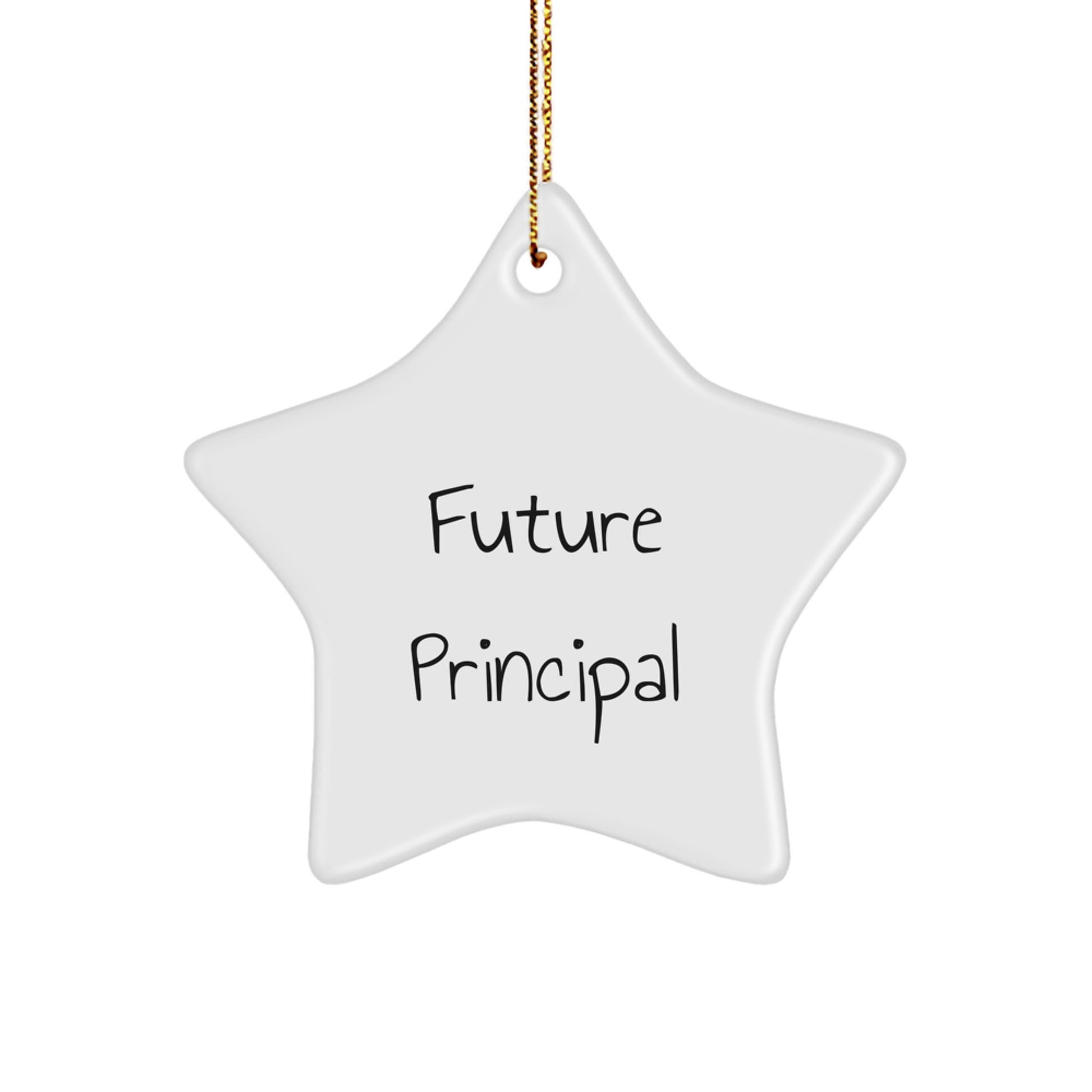 Funny Gift for Future Principal, Principal Star Ornament, Inspirational Quote - Gifts from Men, Women, Friends or Coworkers to Principal, Christmas Unique Gifts - Image 1