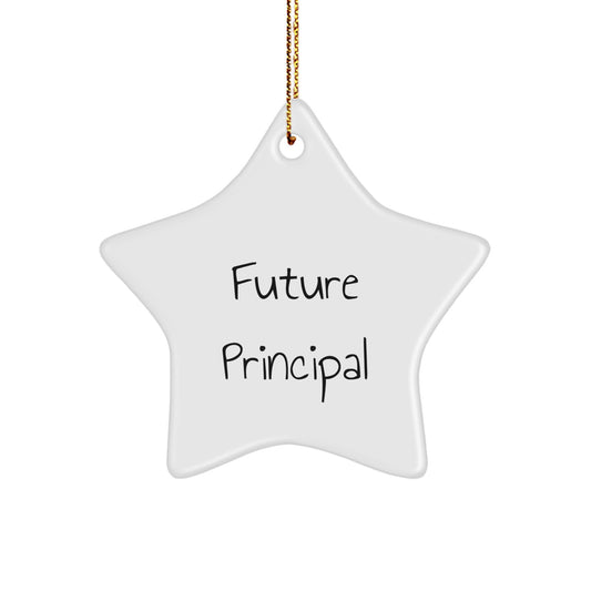 Funny Gift for Future Principal, Principal Star Ornament, Inspirational Quote - Gifts from Men, Women, Friends or Coworkers to Principal, Christmas Unique Gifts - Image 1