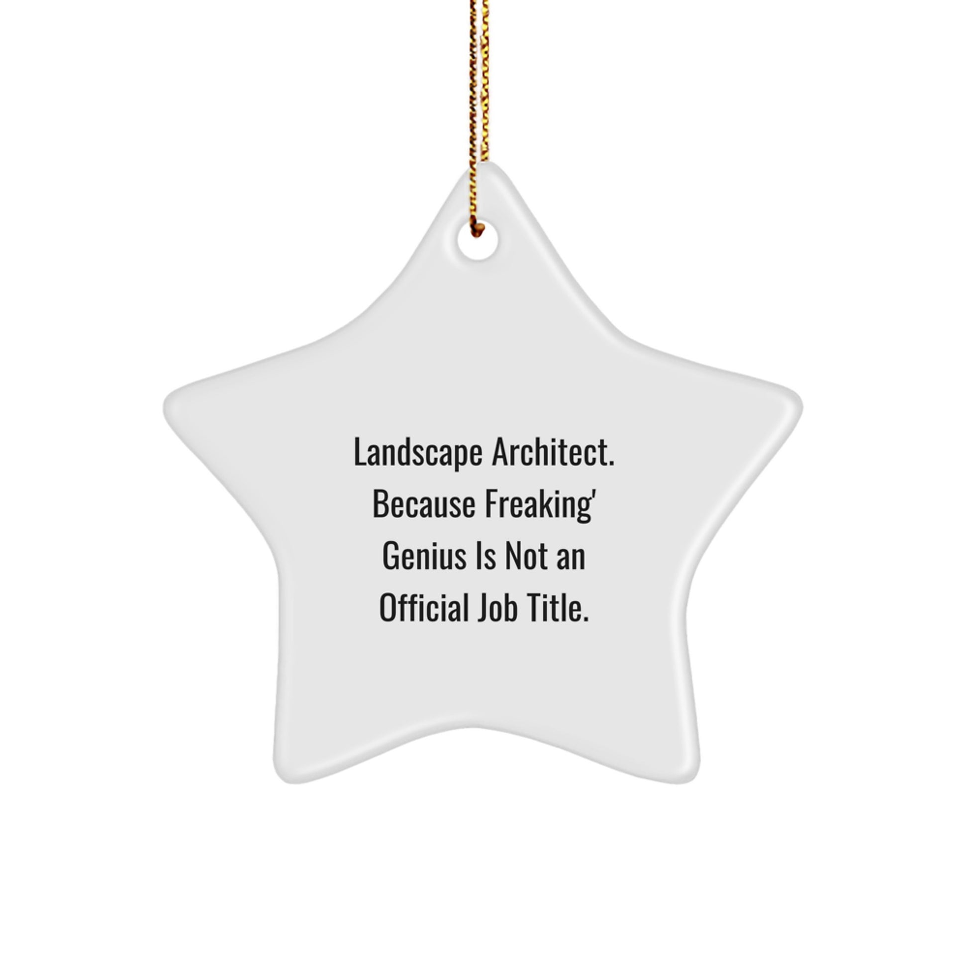 Gifts from Friends for Landscape Architects, Funny Landscape Architect Office Decor, Star Ornament with genius Quote for Christmas - Image 1