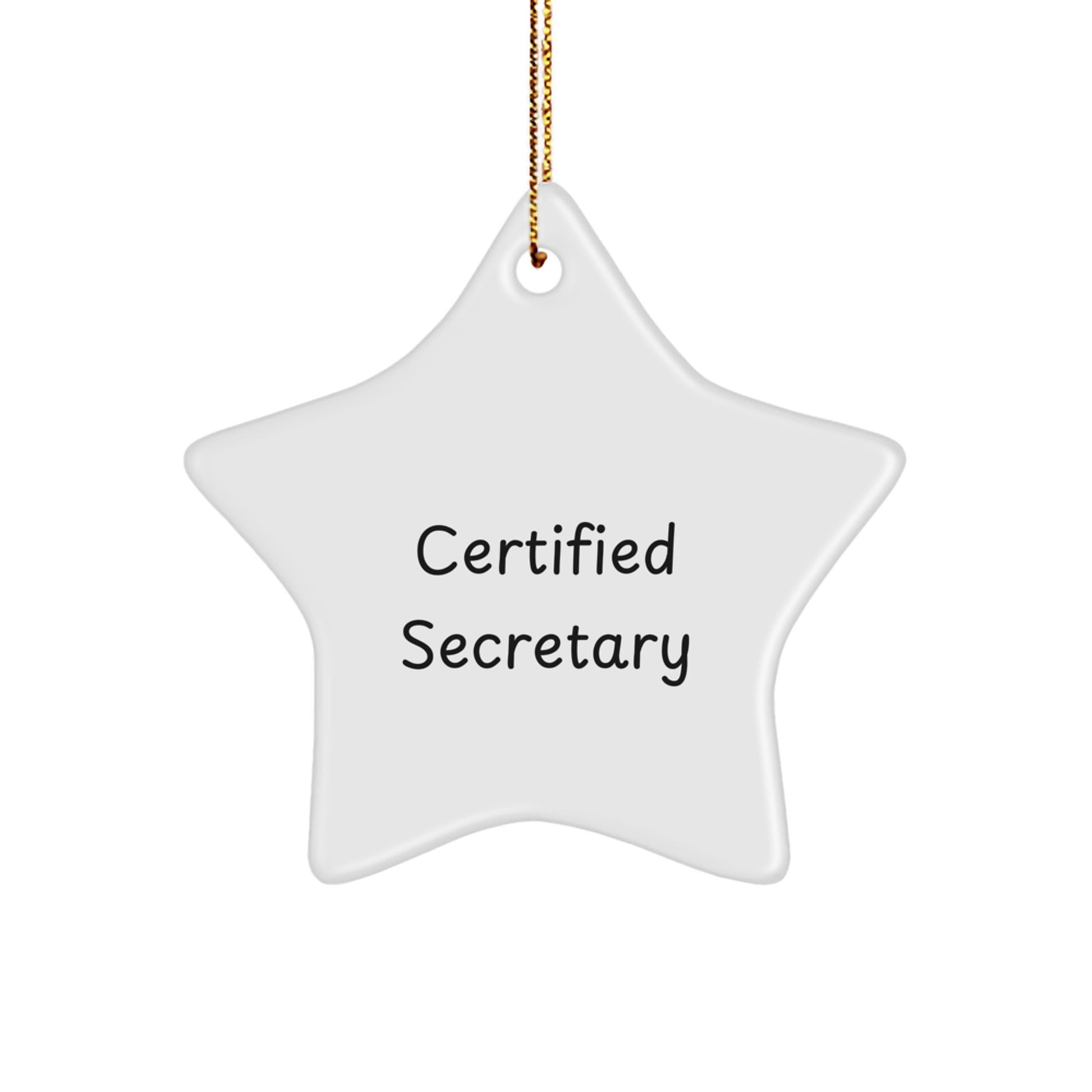 Funny Certified Secretary Star Ornament Gifts from Men to Women Coworkers Friends Family for Christmas Unique Office Decor - Image 1