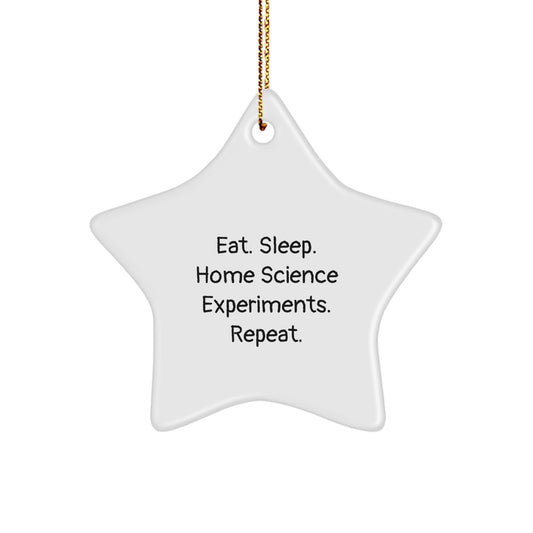 Funny Home Science Experiments Gifts for Men Christmas Star Ornament from Family - Image 1