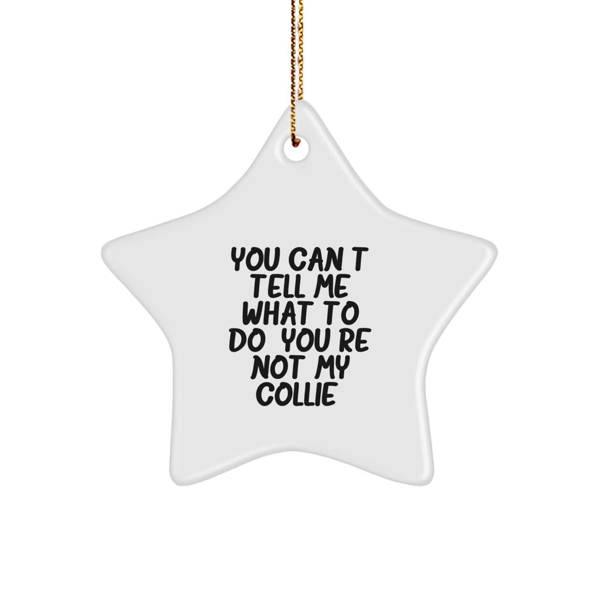 Funny Collie Dog Star Ornament Gifts from Family Friends for Christmas Unique - Image 1