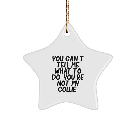 Funny Collie Dog Star Ornament Gifts from Family Friends for Christmas Unique - Image 1