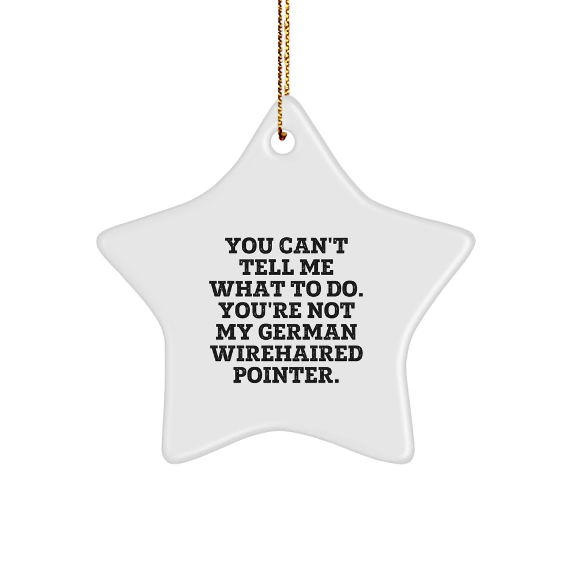 Funny German Wirehaired Pointer Dog Gifts for Men, Women, Friends, Family - Star Ornament 'You Can't Tell Me What To Do. You're Not My German Wirehaired Pointer.' - Image 1