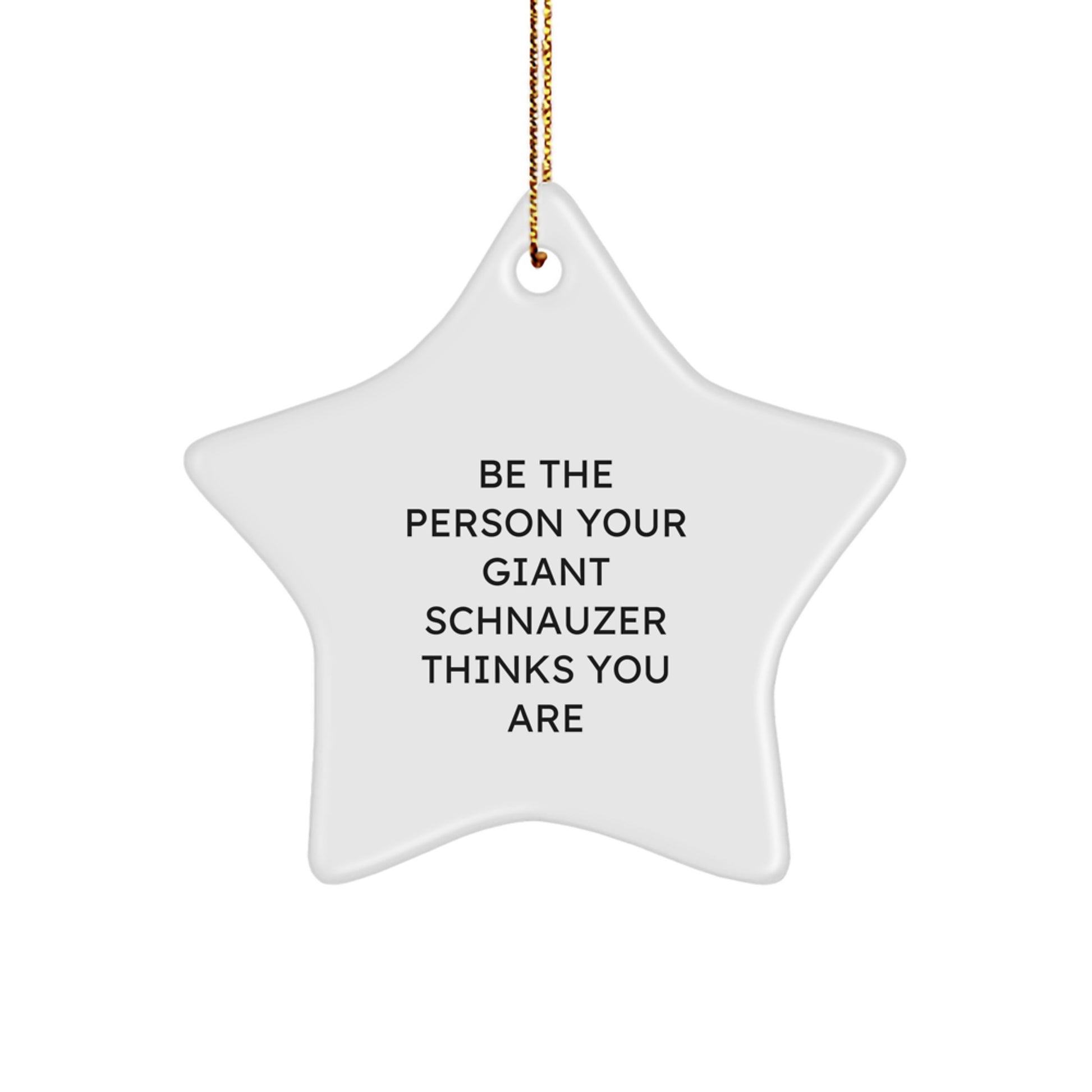 Funny Giant Schnauzer Dog Gifts for Men and Women, Star Ornament Be The Person Your Giant Schnauzer Thinks You Are, Christmas Unique Star Gift from Family - Image 1