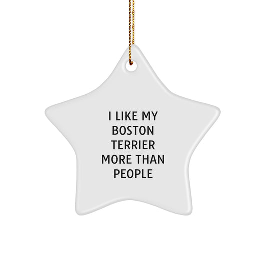Funny Boston Terrier Dog Gifts from Friends and Family - I Like My Boston Terrier More Than People Christmas Unique Star Ornament for Boston Terrier Dog Lovers - Image 1