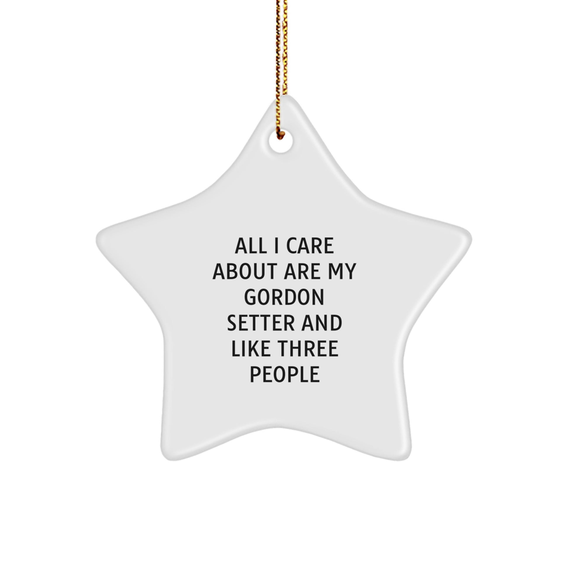 Gordon Setter Dog Lover Gifts, Funny Star Ornament, Gifts from Friends for Christmas Unique Gifts - Image 1