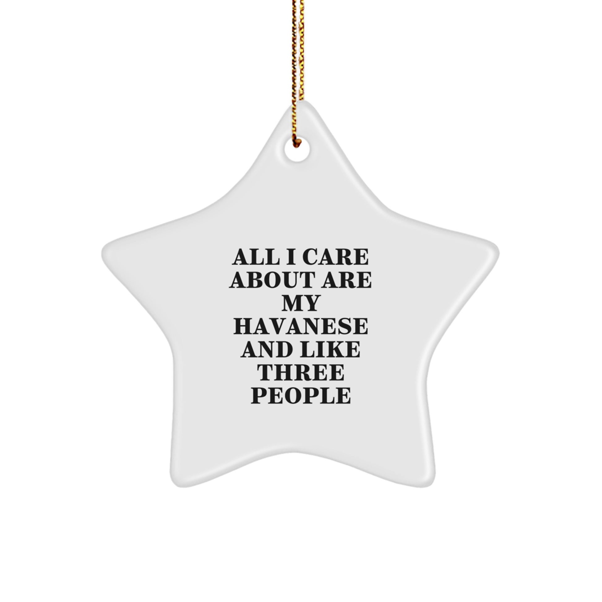 Funny Havanese Dog Gifts from Family to Friends - Star Ornament for Christmas Unique Presents - Image 1