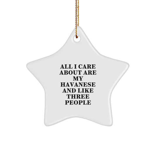 Funny Havanese Dog Gifts from Family to Friends - Star Ornament for Christmas Unique Presents - Image 1