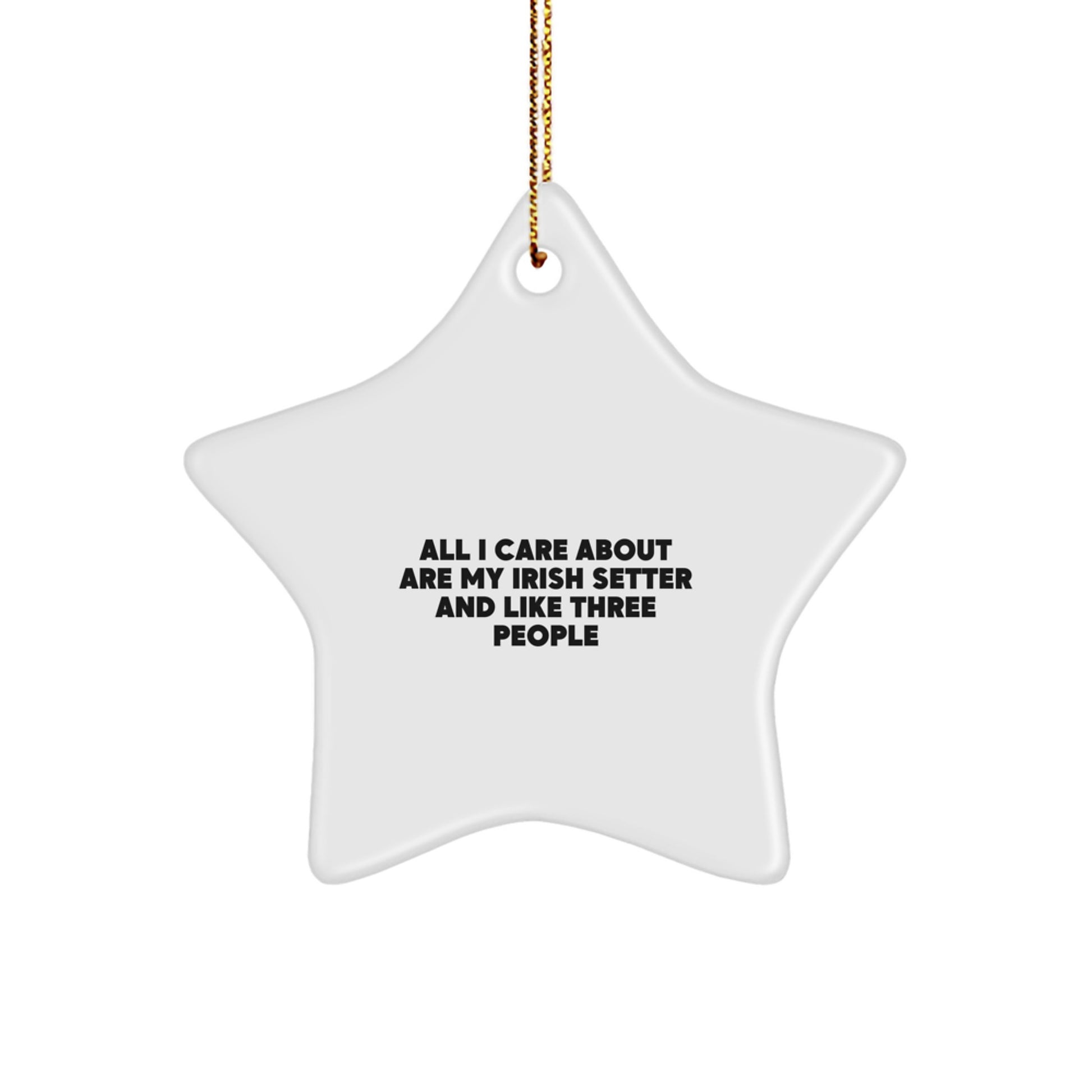 Irish Setter Dog Lover Gifts from Friends Unique Christmas Star Ornament - 'All I Care About Are My Irish Setter And Like Three People' - Image 1