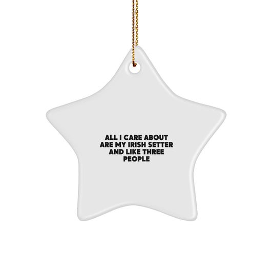 Irish Setter Dog Lover Gifts from Friends Unique Christmas Star Ornament - 'All I Care About Are My Irish Setter And Like Three People' - Image 1