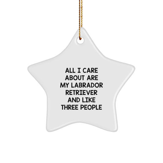 Funny Labrador Retriever Dog Christmas Star Ornament Gifts from Family - Image 1