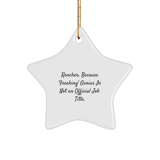 Funny Rancher Christmas Unique Gifts Ideas for Men, Women, Family - Star Ornament with 'Rancher. Because Freaking genius...' - Image 1