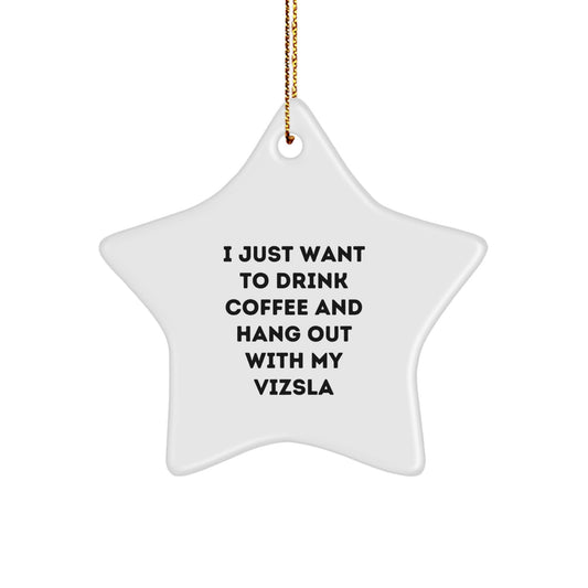 Funny Vizsla Dog Lover Christmas Unique Gift Star Ornament for Family Friends - Image 1