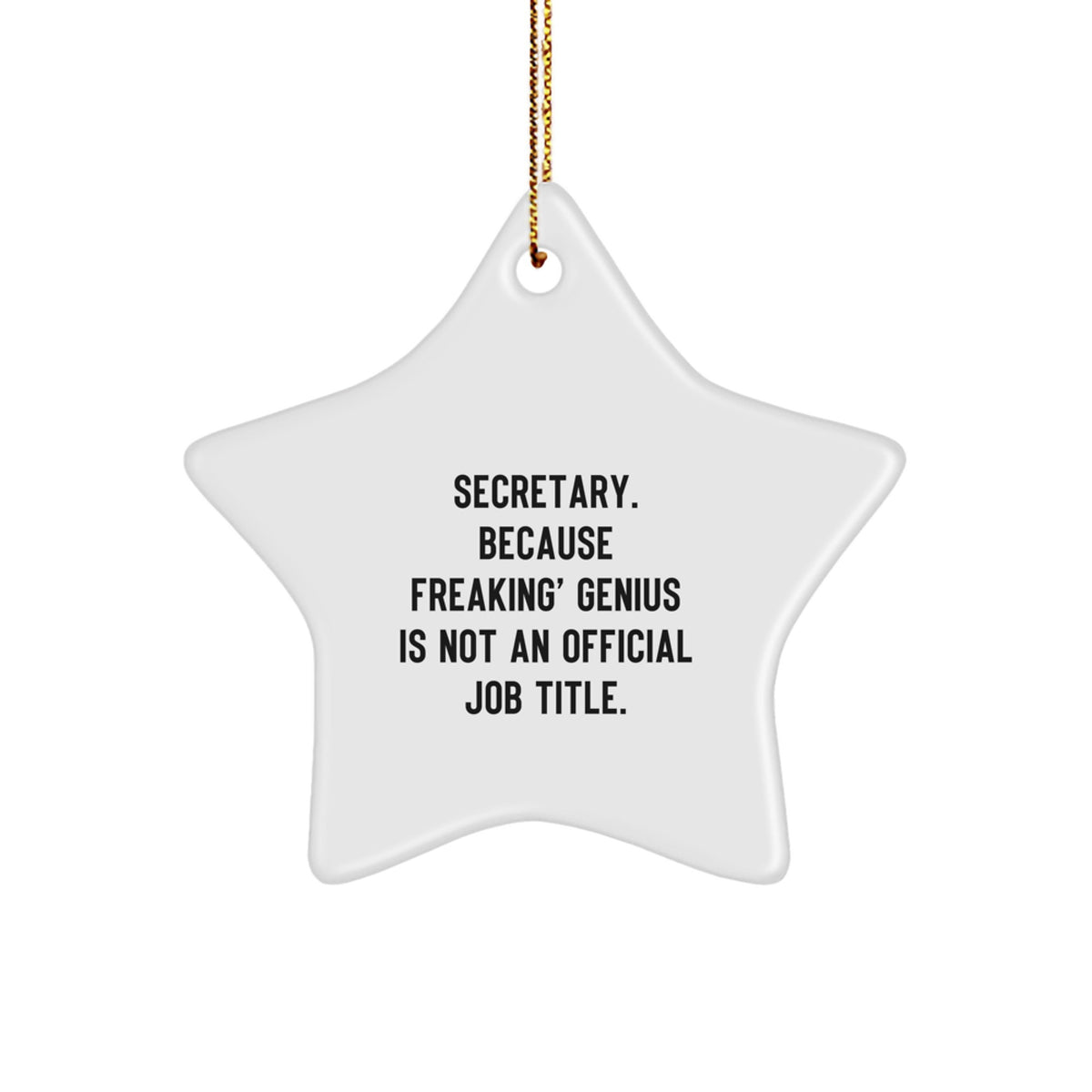 Secretary Keepsake Christmas Ornament for Him Gift Brightly Printed - Image 1