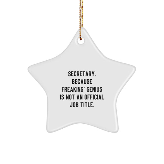 Secretary Keepsake Christmas Ornament for Him Gift Brightly Printed - Image 1