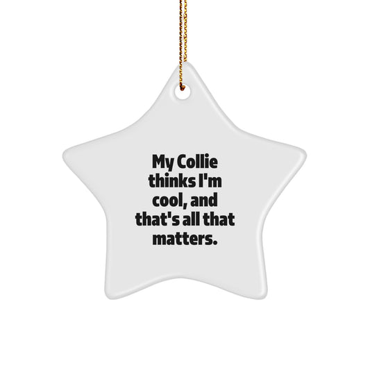 Funny Collie Dog Star Ornament Gifts from Men to Collie Dog Lovers for Christmas Unique Decorations - Image 1