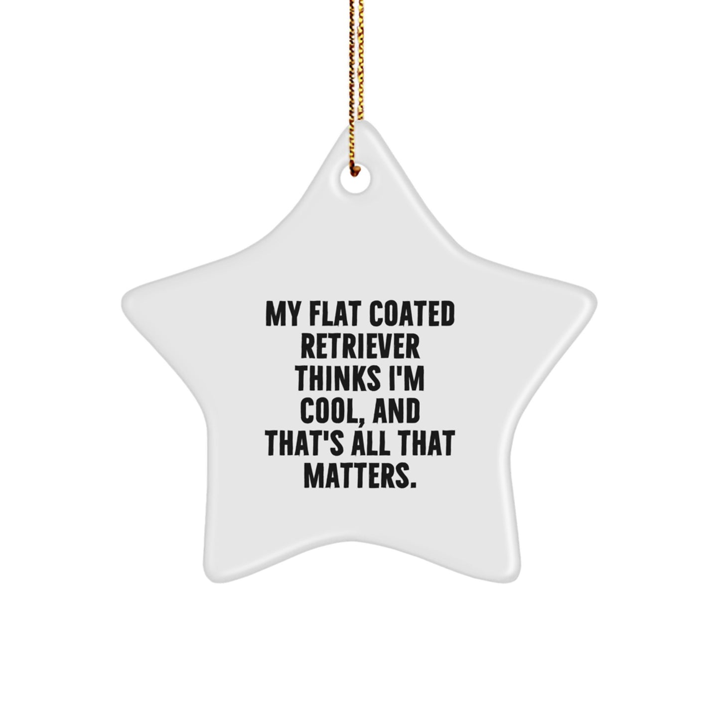 Funny Flat Coated Retriever Dog Christmas Unique Gifts from Family Members for Men Women Friends Coworkers, Star Ornament - My Flat Coated Retriever Thinks I'm Cool, And That's All That Matters. - Image 1
