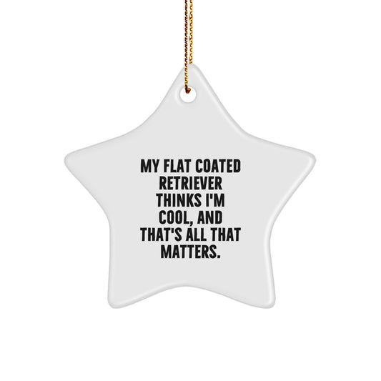 Funny Flat Coated Retriever Dog Christmas Unique Gifts from Family Members for Men Women Friends Coworkers, Star Ornament - My Flat Coated Retriever Thinks I'm Cool, And That's All That Matters. - Image 1