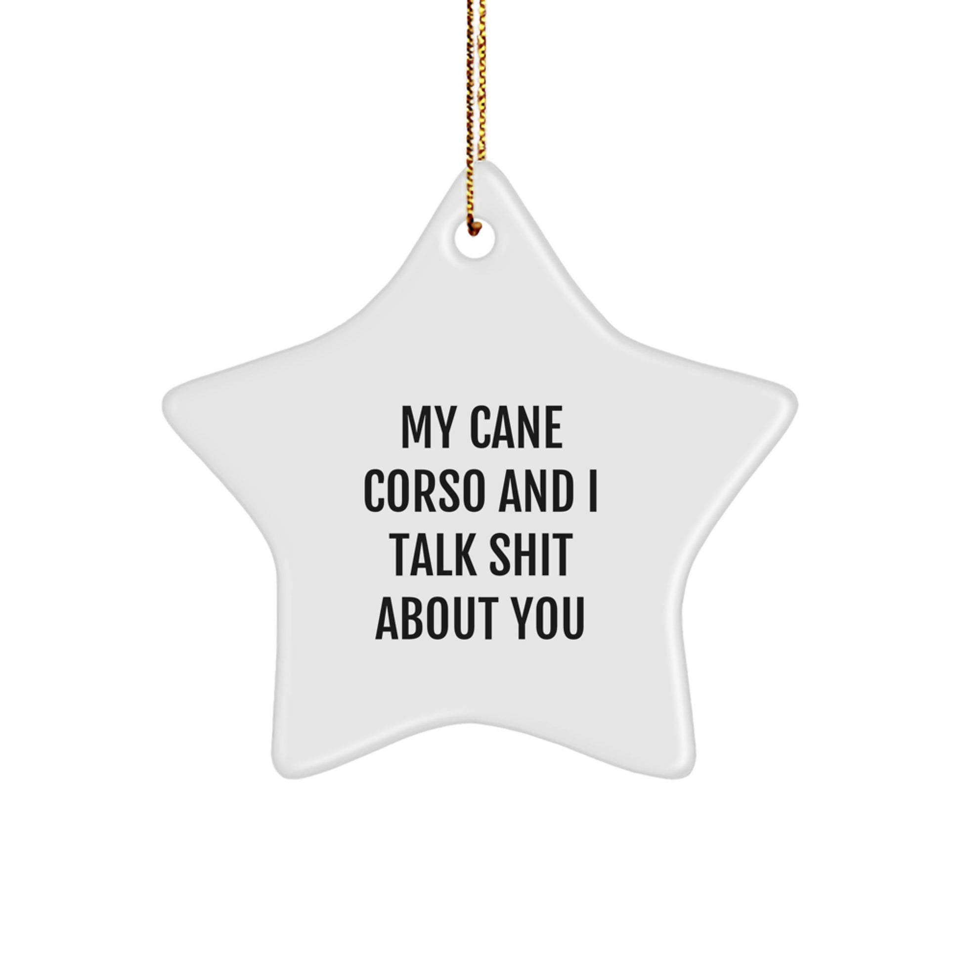 Cute Funny Cane Corso Dog Gifts from Men for Christmas Unique Star Ornament, My Cane Corso And I Talk Shit About You - Image 1