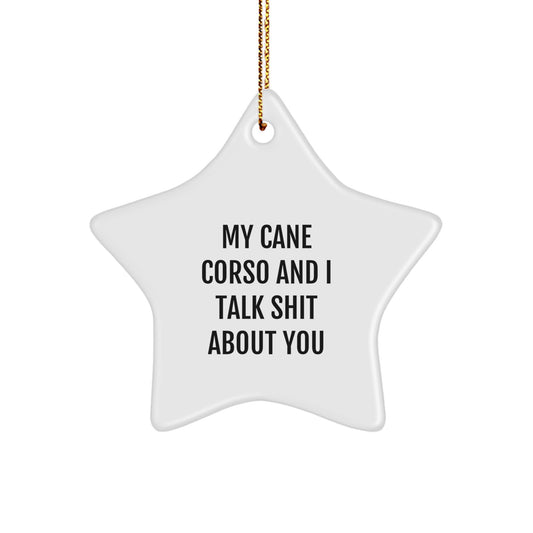 Cute Funny Cane Corso Dog Gifts from Men for Christmas Unique Star Ornament, My Cane Corso And I Talk Shit About You - Image 1