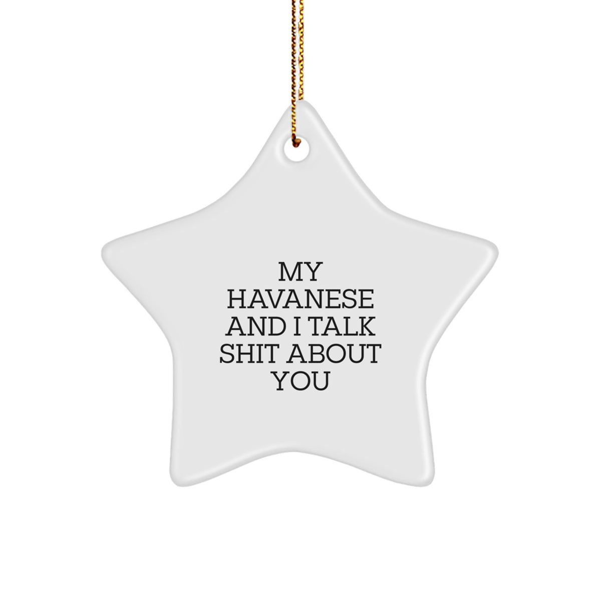 Havanese Star Ornament Keepsake for Him Holiday Christmas Gift - Image 1