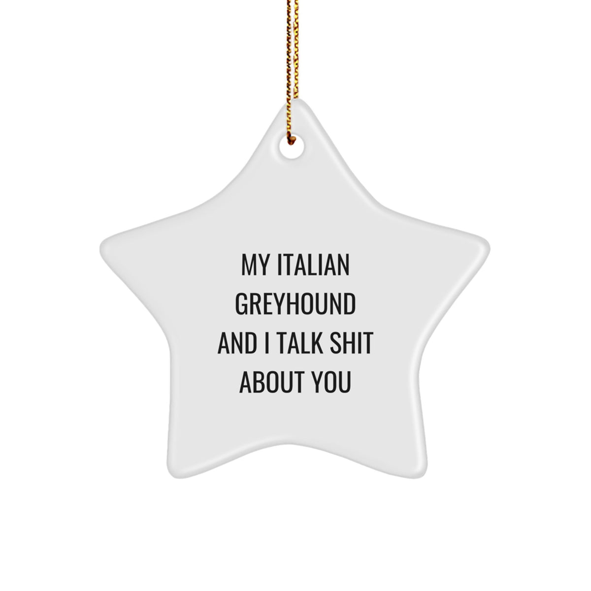 Christmas Ornament Gift for Family My Italian Greyhound And I Talk Shit - Image 1