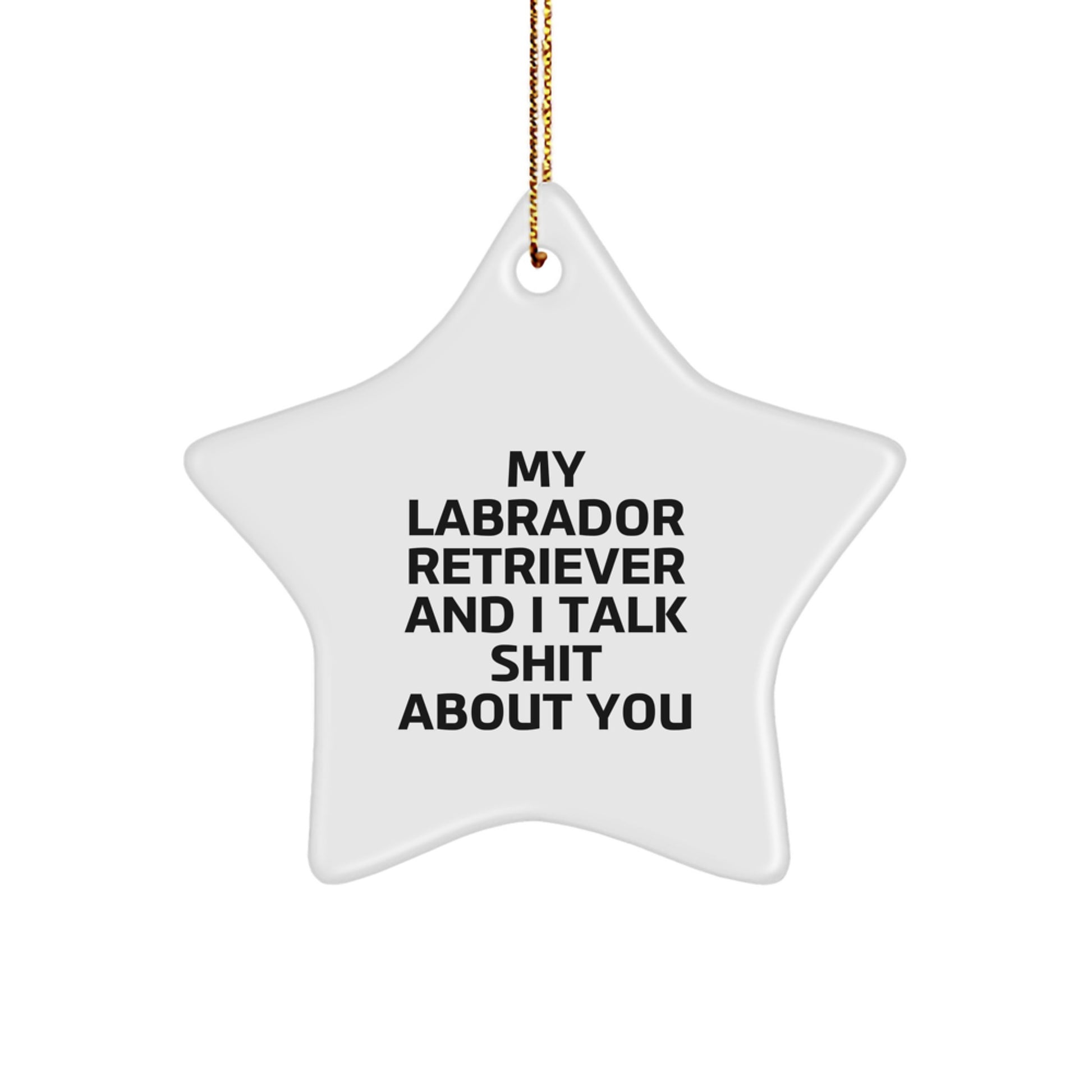 Labrador Retriever Dog Lover Funny Gifts, Funny Labrador Retriever Dog Star Ornament, Gifts from Friends for Christmas Unique Gifts - Image 1