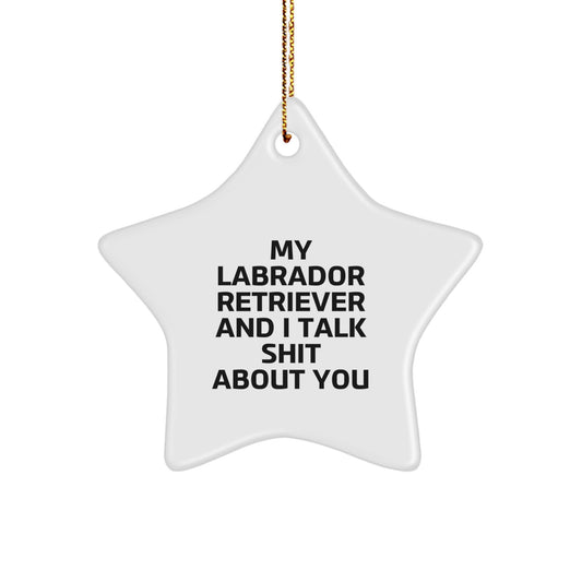 Labrador Retriever Dog Lover Funny Gifts, Funny Labrador Retriever Dog Star Ornament, Gifts from Friends for Christmas Unique Gifts - Image 1