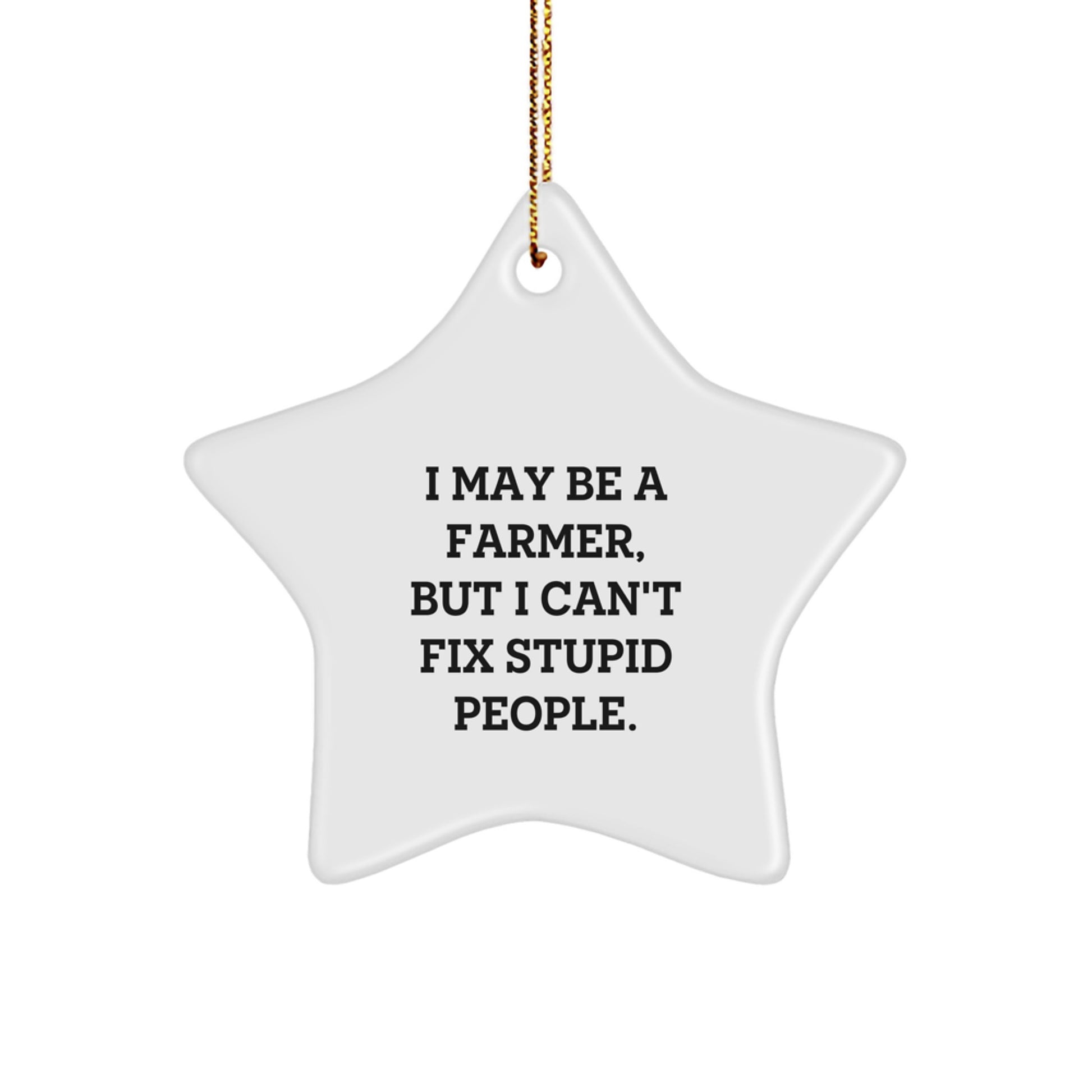 Funny Farmer Gifts for Men - I May Be A Farmer, But I Can't Fix Stupid People. Personalized Star Ornament for Friends and Family at Christmas - Image 1
