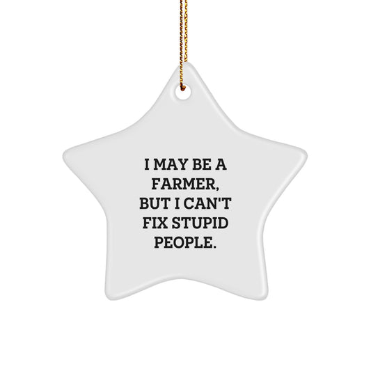 Funny Farmer Gifts for Men - I May Be A Farmer, But I Can't Fix Stupid People. Personalized Star Ornament for Friends and Family at Christmas - Image 1