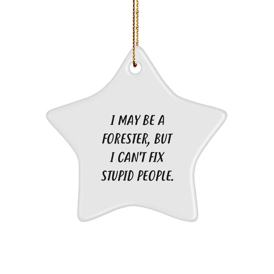 Funny Forester Star Ornament Gifts from Friends and Family for Men - 'I May Be A Forester, But I Can't Fix Stupid People.' Christmas Unique Star Decorations - Image 1
