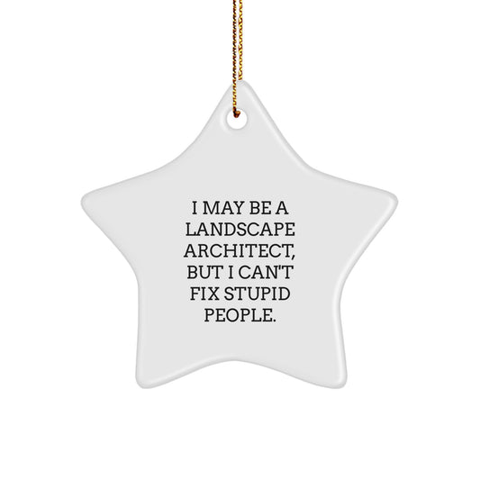 Christmas Gift for Her Landscape Architect Star Ornament Bright Present - Image 1