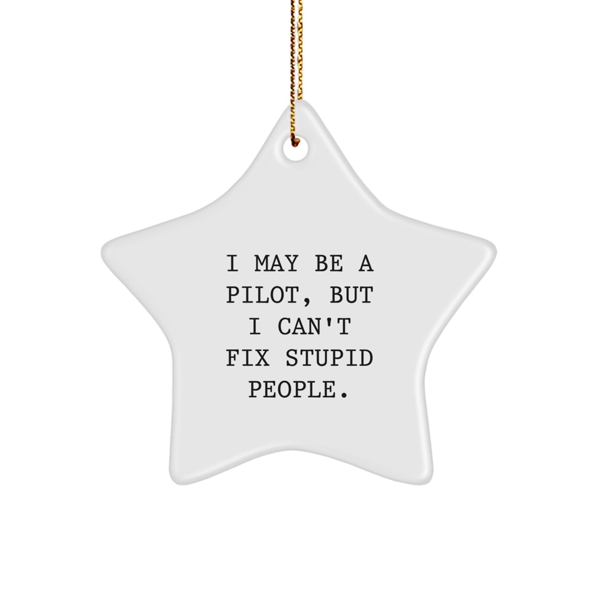 Witty Pilot Novelty Christmas Ornament for Friends Gift - Image 1