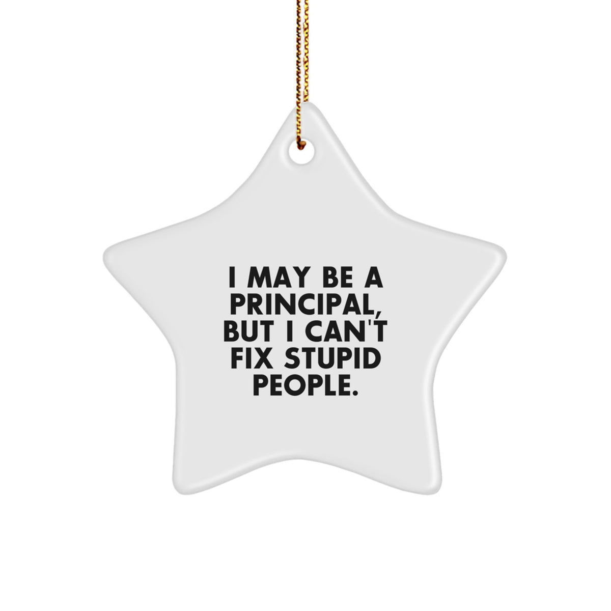 Christmas Unique Gift Principal Star Ornament for Her I May Be a Principal - Image 1
