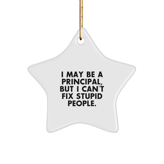 Christmas Unique Gift Principal Star Ornament for Her I May Be a Principal - Image 1