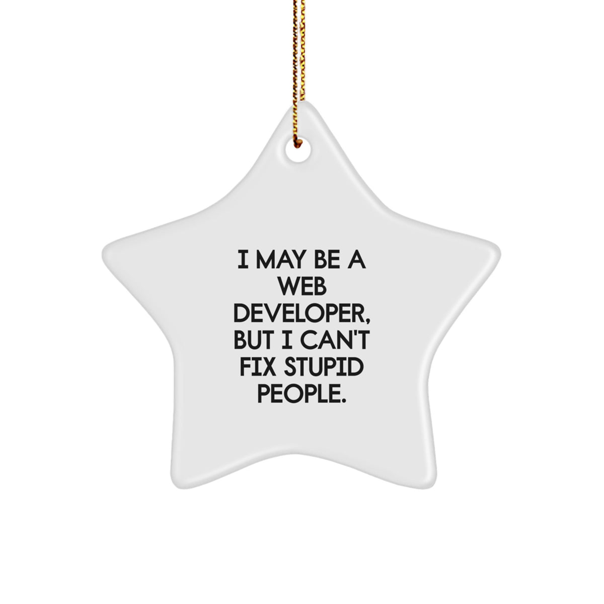 Web Developer Star Ornament Idea I May Be A Web Developer Coworkers Gift - Image 1